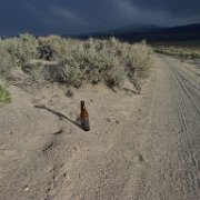 MonoBasin 099 : MonoBasin